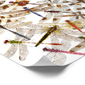 Poster Les libellules partout (Coin)