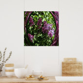 Poster Les Lilacs enchantés..... (Cuisine)