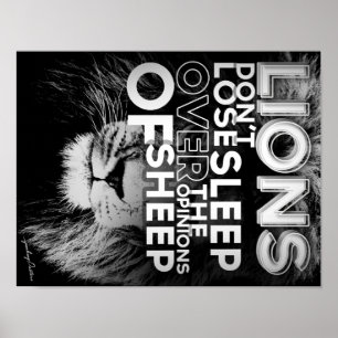 Poster Les lions ne perdent pas le sommeil au-dessus des
