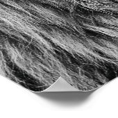 Poster Les lions ne perdent pas leur sommeil sur les opin (Coin)