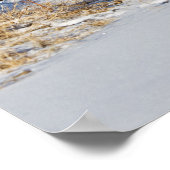 Poster Les loups courent dans l'affiche de neige (Coin)