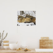 Poster Les loups dans le bois de Bawarian (Cuisine)