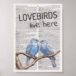 Poster Les Lovebirds y vivent