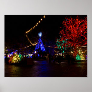Poster Les lumières de Noël Galore