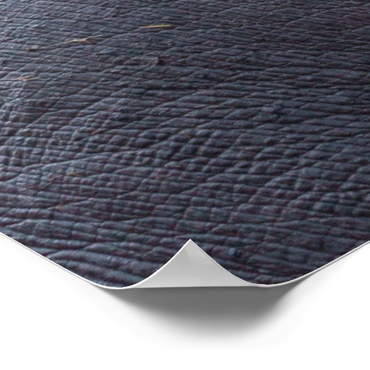 Poster Les mâchoires massives de Hippo (Coin)