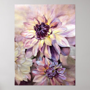 Poster Les magnifiques Dahlias
