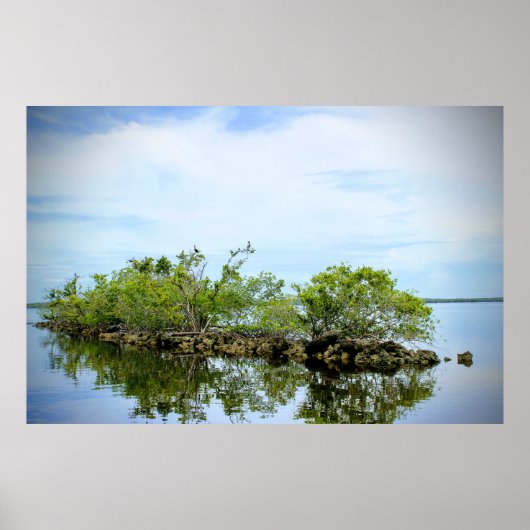 Poster Les mangroves des Everglades (Devant)