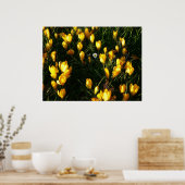 Poster Les marguerites au Crocus (Cuisine)