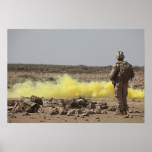 Poster Les marines fournissent la sécurité
