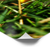 Poster Les marionnettes de Fubby qui dansent avec la robe (Coin)