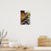 Poster Les martins-pêcheurs et leur tunnel de nid (Cuisine)