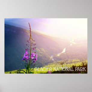 Poster Les mauvaises herbes dans le parc national des Gla