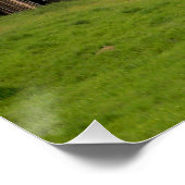 Poster Les mémoires d'un cowboy... (Coin)