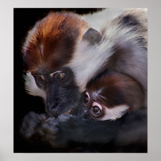 Poster Les mères adorent (Devant)