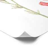 Poster Les merveilles de Mère Nature (Coin)