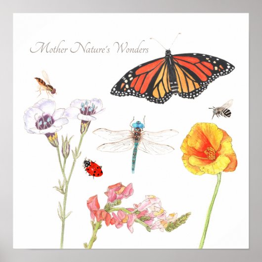 Poster Les merveilles de Mère Nature (Devant)