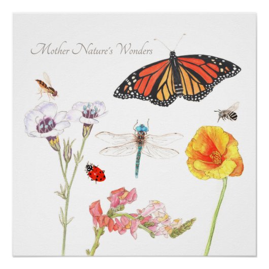 Poster Les merveilles de Mère Nature (Devant)