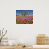 Poster Les métis printaniers poussent en fleur sauvage, (Cuisine)