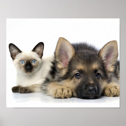 Poster Les mignons animaux (Devant)