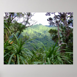 Poster Les montagnes de Koolau au-dessus de la vallée de