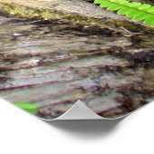 Poster Les montagnes Hawaïennes de Koolau (Coin)