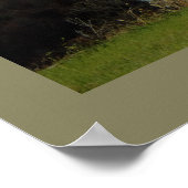 Poster Les montagnes Pocono Photo (Coin)