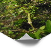 Poster Les monts Koolau (Coin)