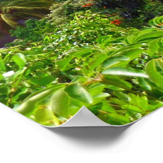 Poster Les monts Koolau (Coin)