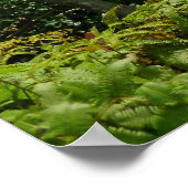 Poster Les monts Koolau (Coin)