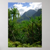 Poster Les monts Koolau (Devant)