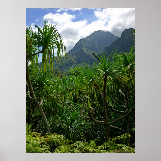 Poster Les monts Koolau (Devant)