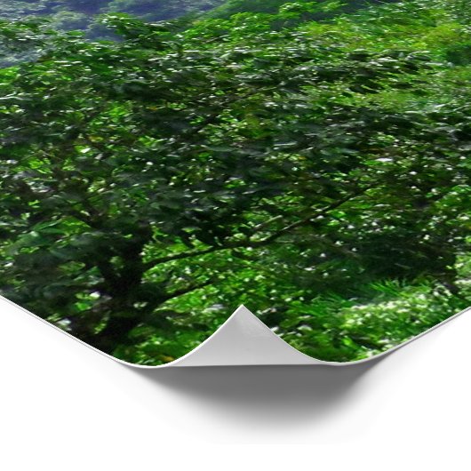 Poster Les monts Koolau (Coin)