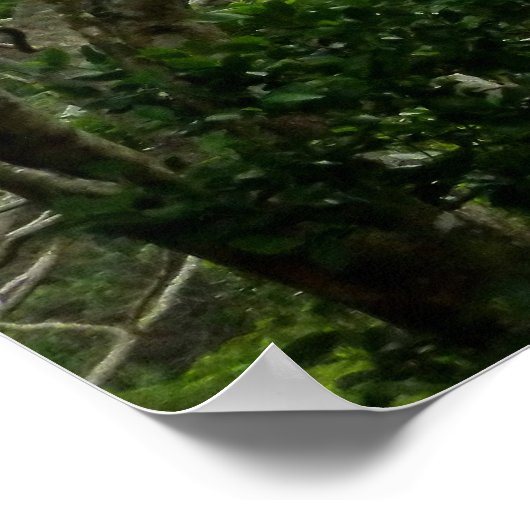 Poster Les monts Koolau (Coin)