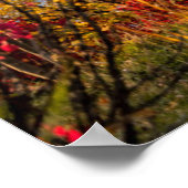 Poster Les monuments | Cathédrale Saint Basile Moscou (Coin)