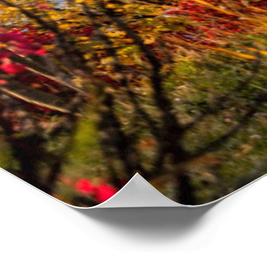 Poster Les monuments | Cathédrale Saint Basile Moscou (Coin)