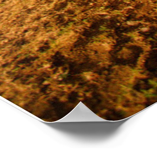 Poster Les monuments | Île de Pâques (Coin)