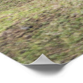 Poster Les monuments | Île de Pâques, Chili (Coin)