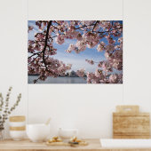 Poster Les monuments | Jefferson Memorial Cherry Blossoms (Cuisine)