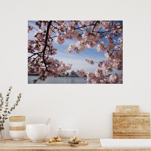 Poster Les monuments | Jefferson Memorial Cherry Blossoms (Cuisine)