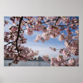 Poster Les monuments | Jefferson Memorial Cherry Blossoms (Devant)