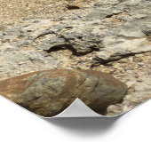 Poster Les monuments rocheux sur la côte d'Aruba (Coin)