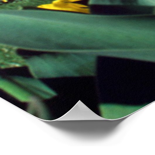 Poster Les monuments | Washington Monument au printemps (Coin)