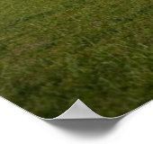 Poster Les monuments | Washington Monument avec drapeaux (Coin)