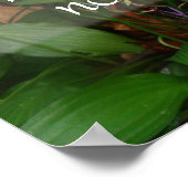 Poster Les mots justes ne remplissent pas la sagesse du v (Coin)