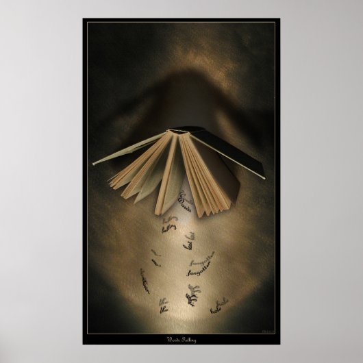 Poster Les mots tombent (Devant)