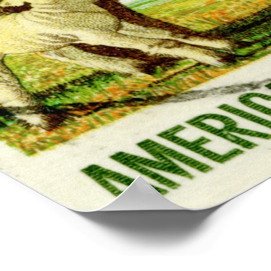 Poster Les moutons rétro en laine de l'Amérique (Coin)