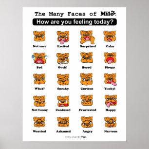 Poster Les multiples visages de Milo
