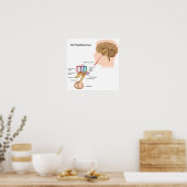 Poster Les noyaux de l'affiche hypothalamus (Cuisine)