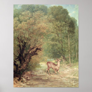 Poster Les Oeuf de poisson-Cerfs communs chassés sur