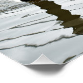 Poster Les oies du Canada ont une baleine ! (Coin)